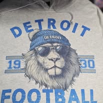 Beanie Detroit Football